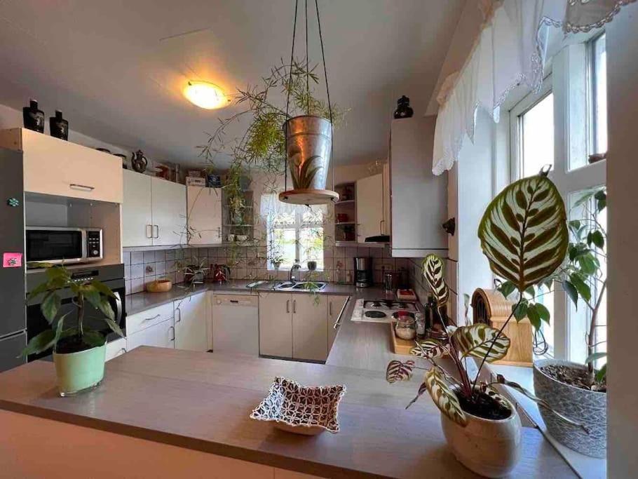 Ferienwohnung Nylenda Seyðisfjörður Exterior foto